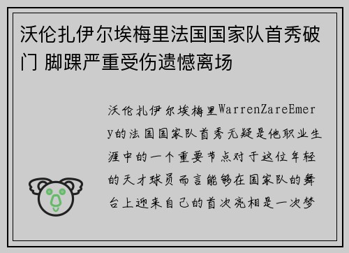沃伦扎伊尔埃梅里法国国家队首秀破门 脚踝严重受伤遗憾离场